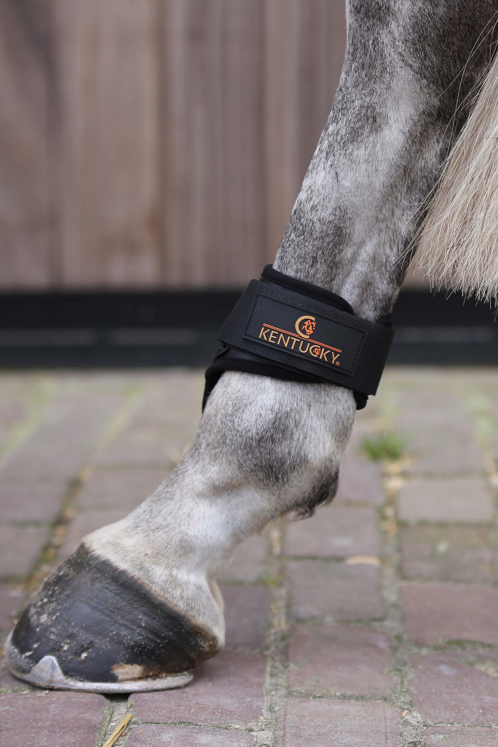 Young horse boots on sale