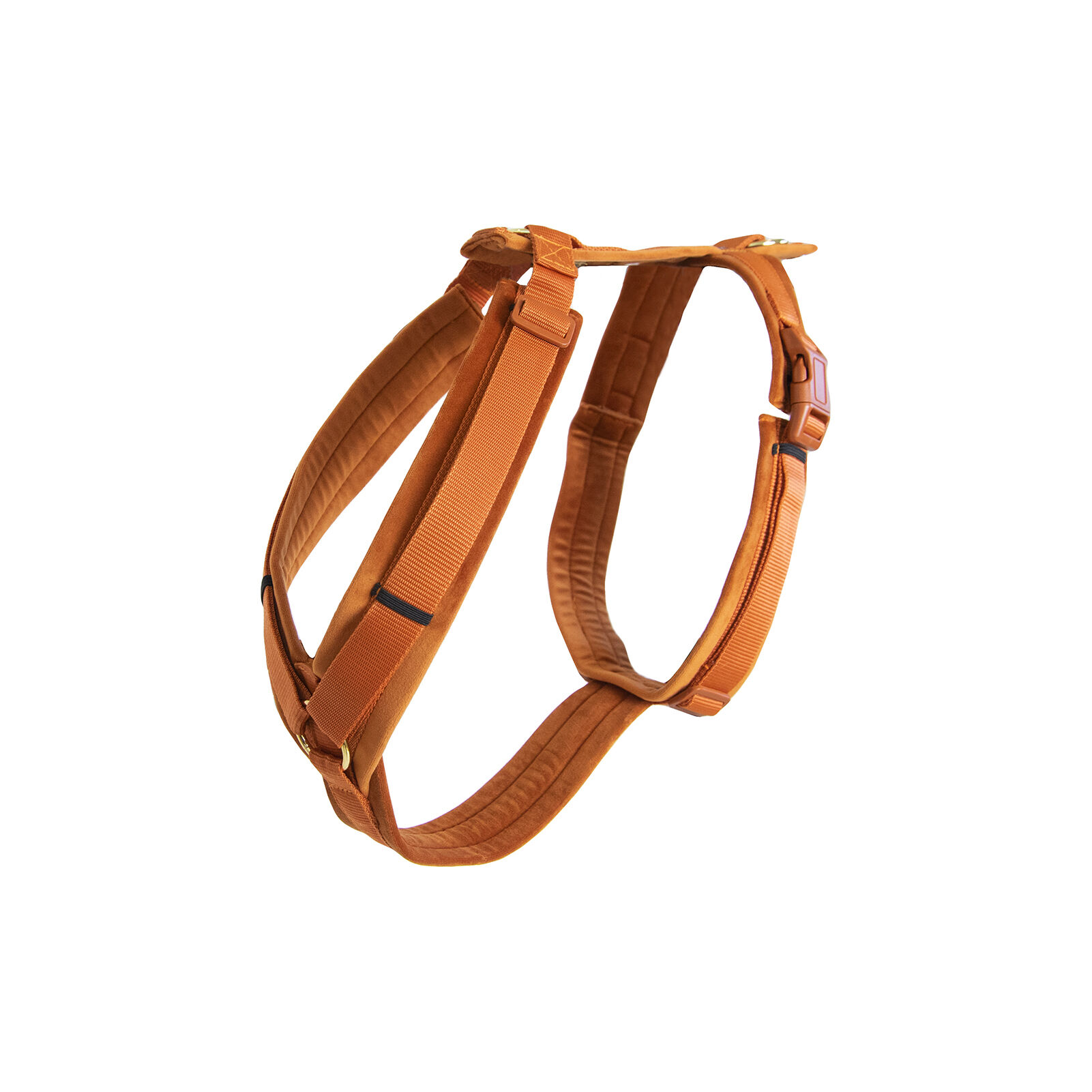 Luxury leather dog harness online