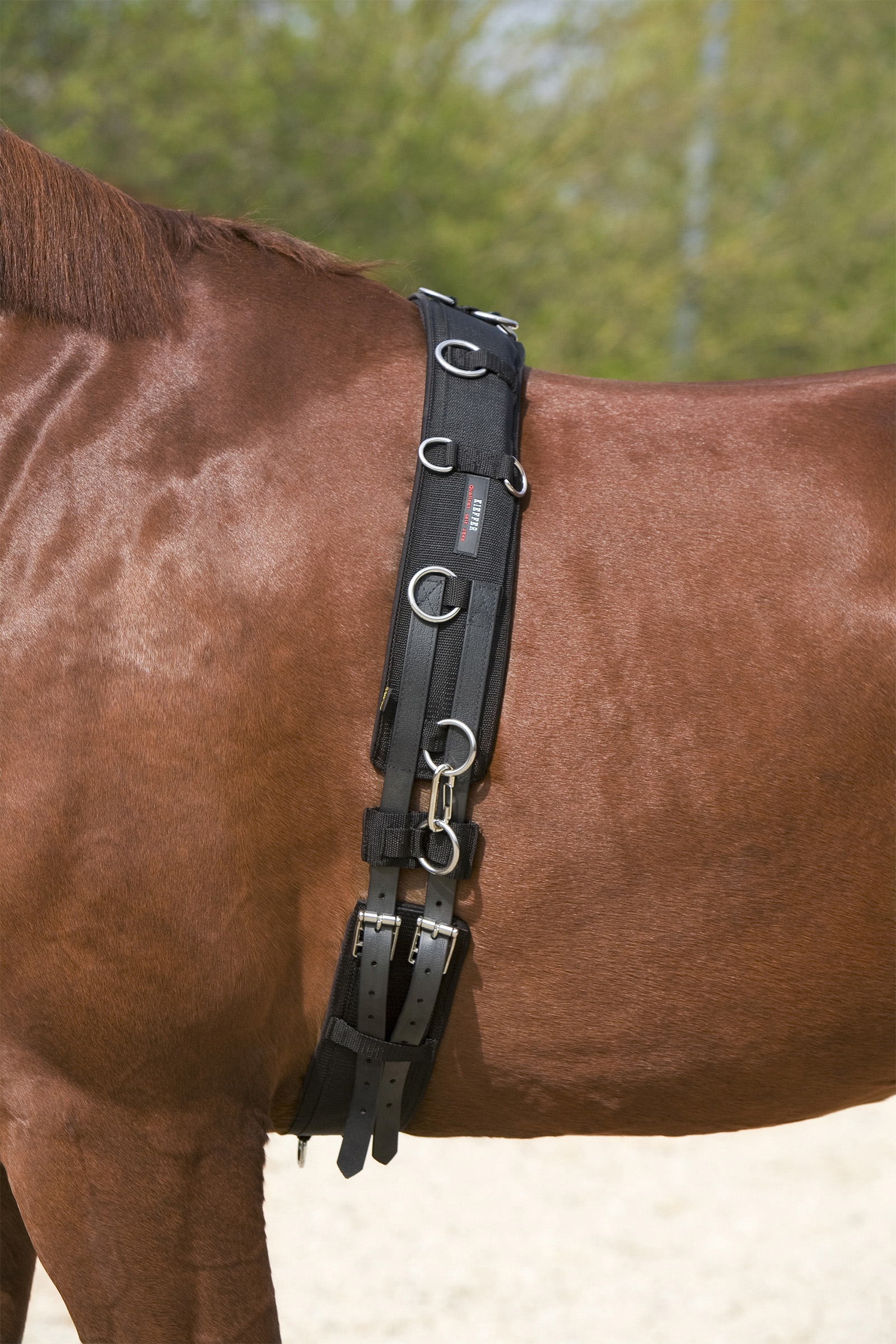Fixed Ring Horse Lunging Attachment- Training Tack