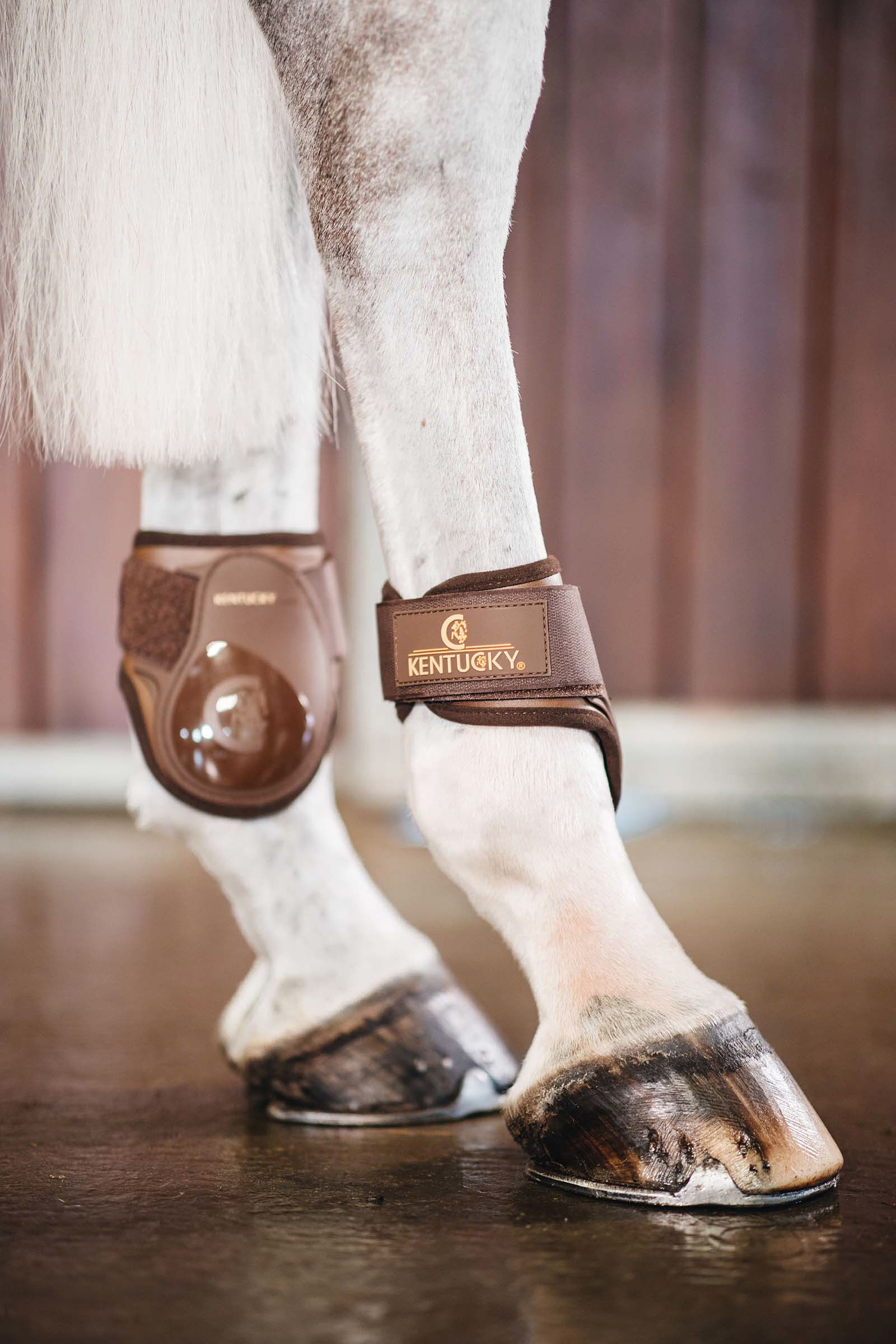 Young horse boots outlet