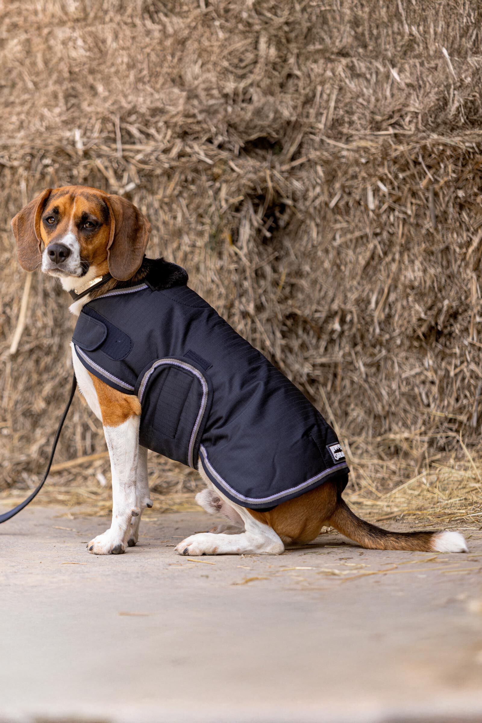 Ripstop dog coat outlet