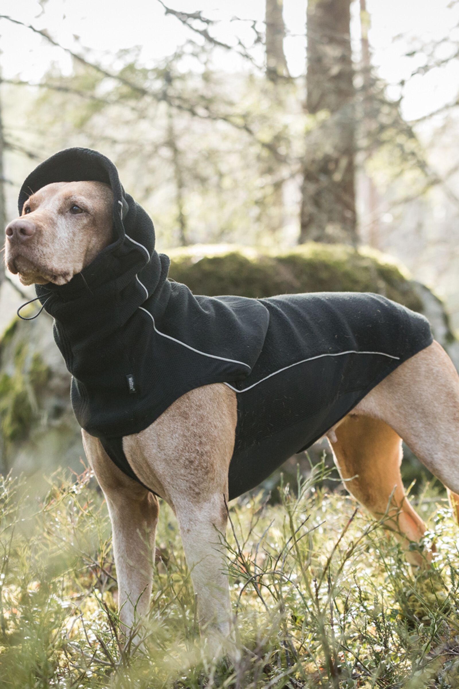 Dog cheap neck warmers
