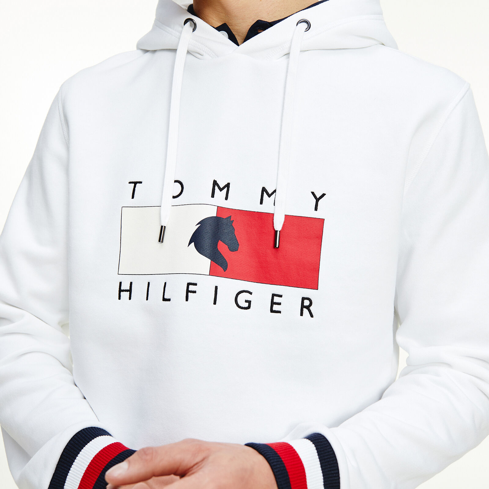 Tommy hilfiger mens hoodie on sale
