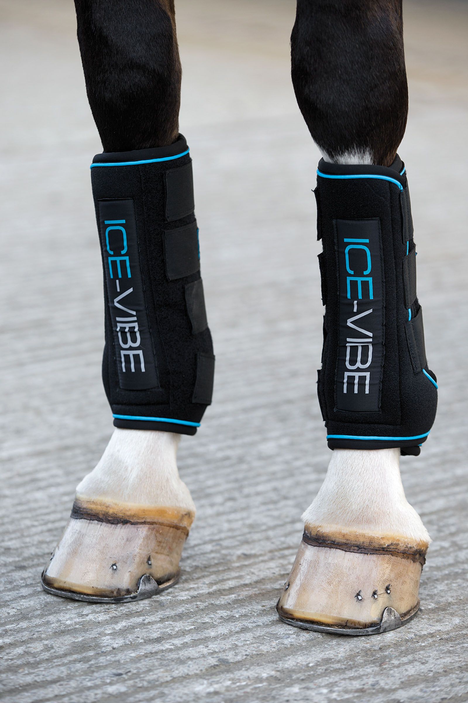 Leg Protection Hoof Protection for Horses horze.ie