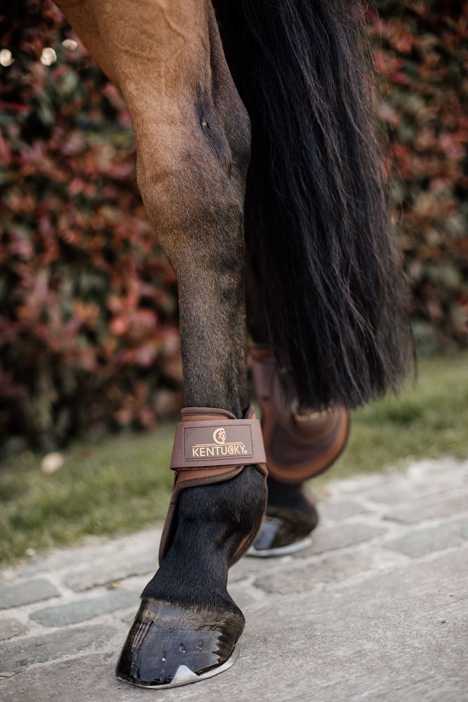 Kentucky Horsewear Deep Fetlock Boots horze.ie