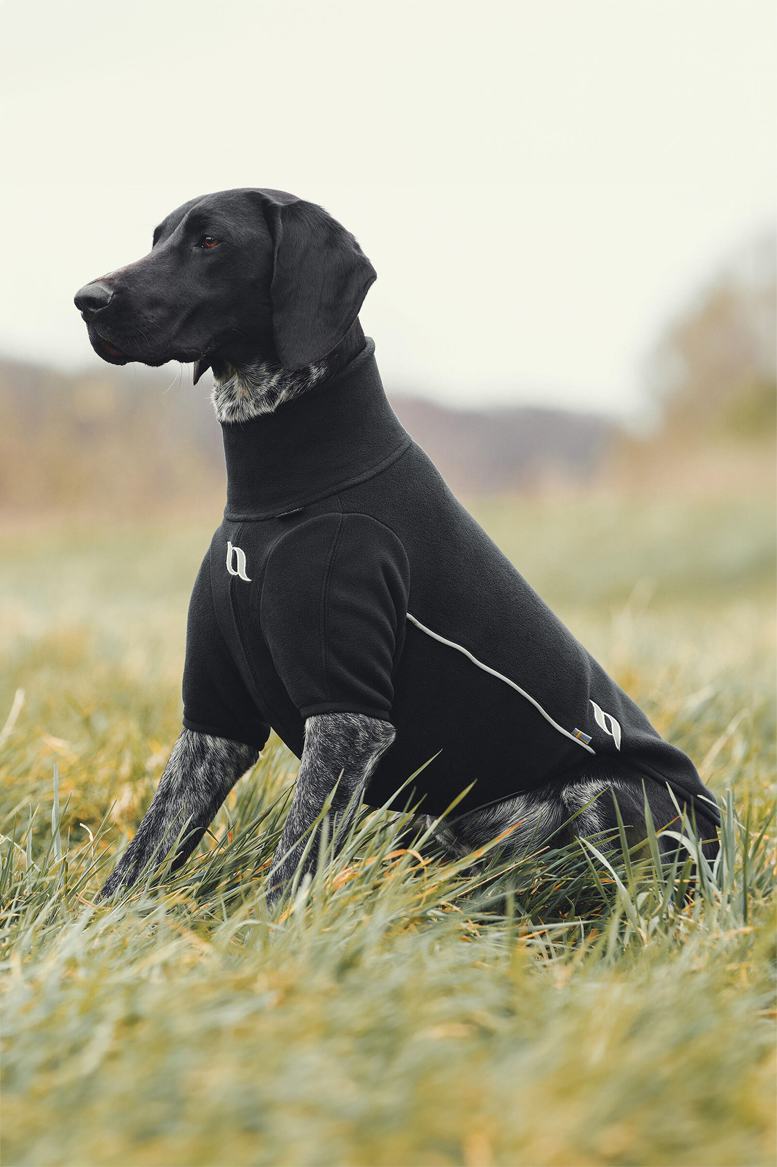 Back on track dog jacket online