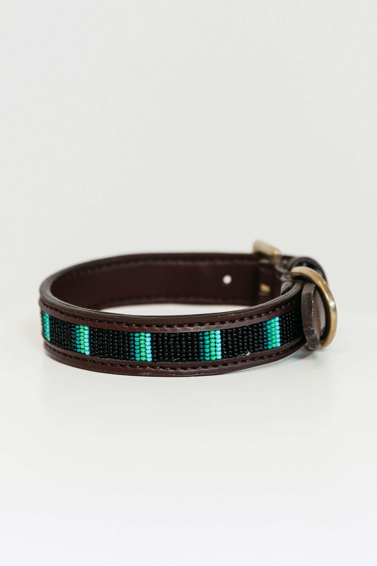 Modern on sale dog collars