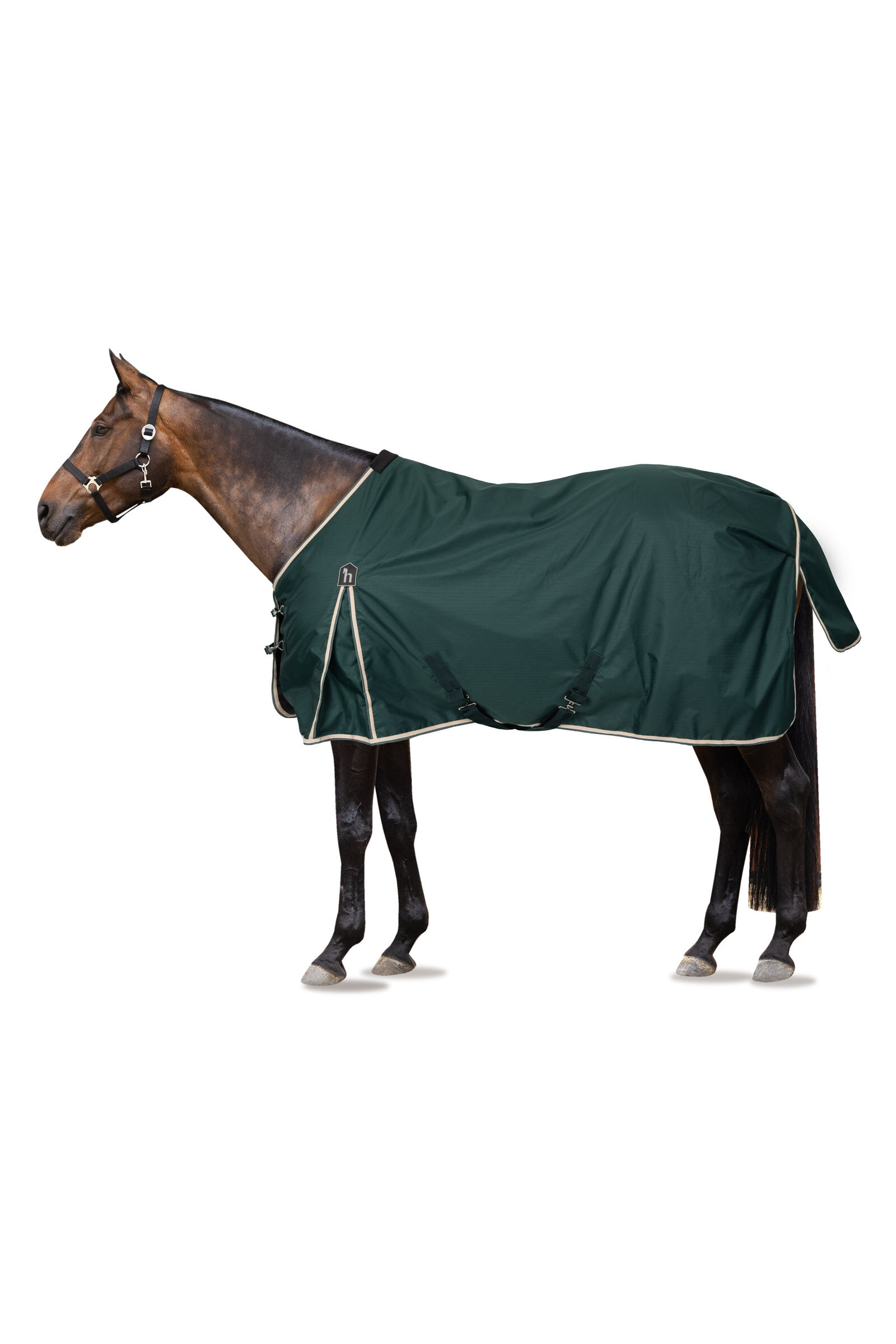 Equestrian clearance top